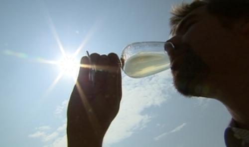 Vin de Liège : plantations en Basse Meuse