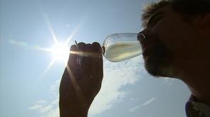 Vin de Liège : plantations en Basse Meuse