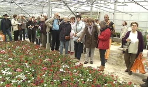 Liège : visite des serres de la ville