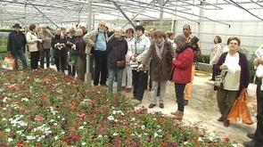 Liège : visite des serres de la ville