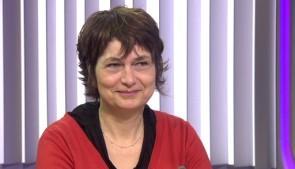Focus : Observatoire du monde des plantes