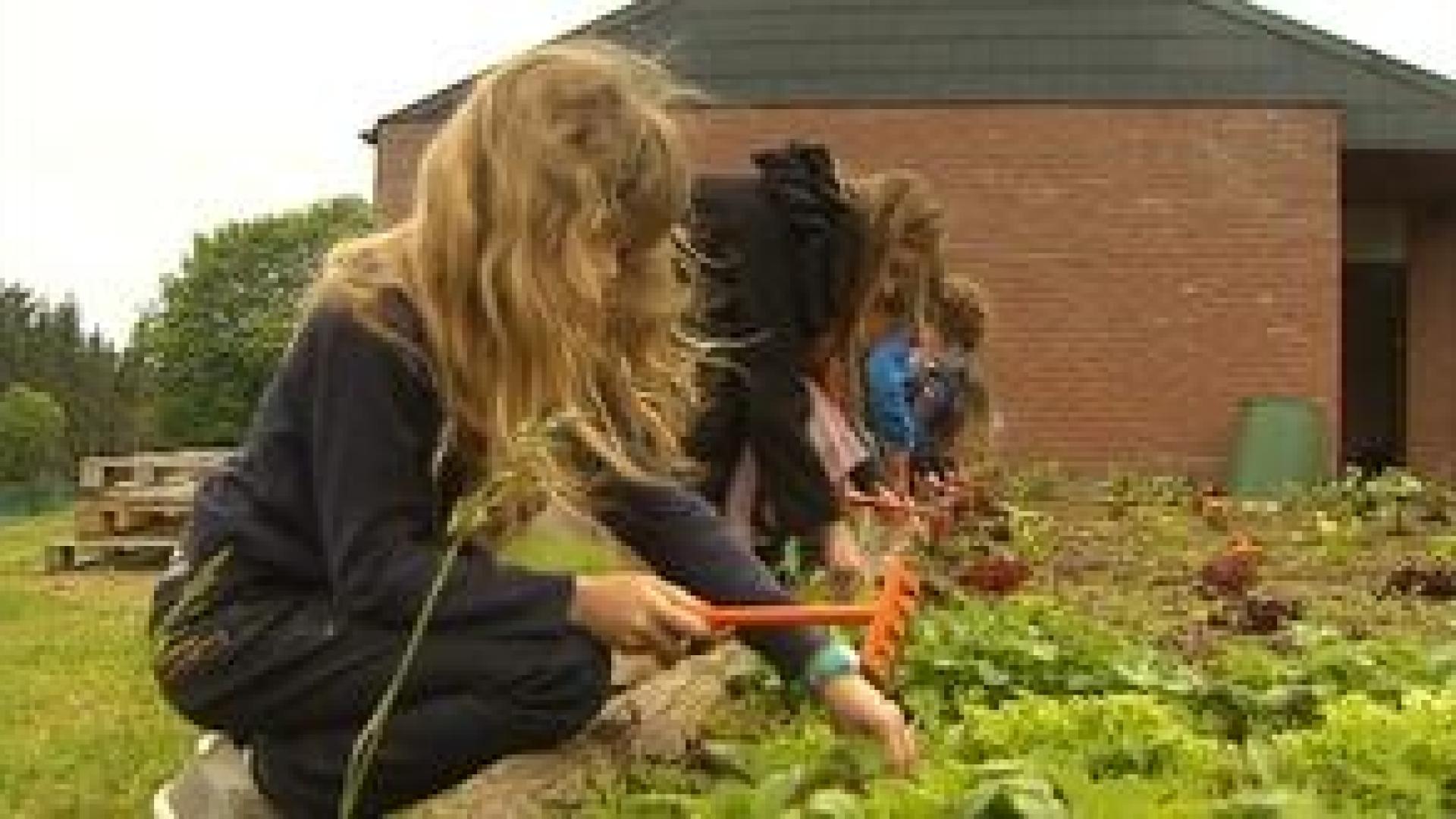 Harzé : les écoliers participent à un projet nature et biodiversité