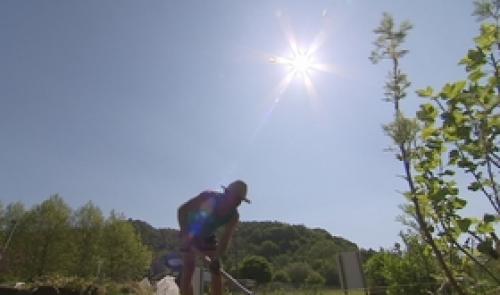 Potagers : le soleil y fait du bien aussi !