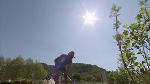 Potagers : le soleil y fait du bien aussi !