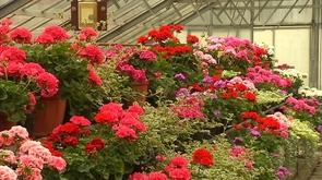 Ecole d'horticulture : journées portes ouvertes