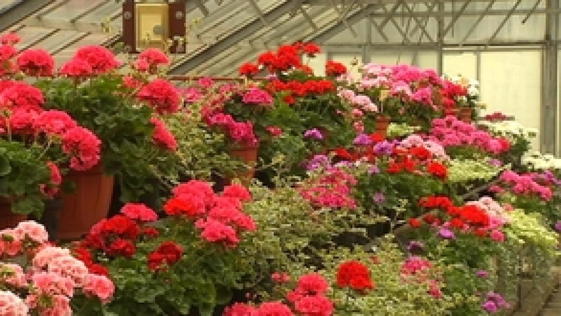Ecole d'horticulture : journées portes ouvertes