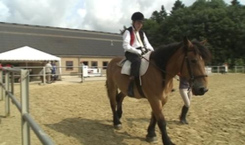Hippopassion à Fraiture : concours d'équitation adaptée