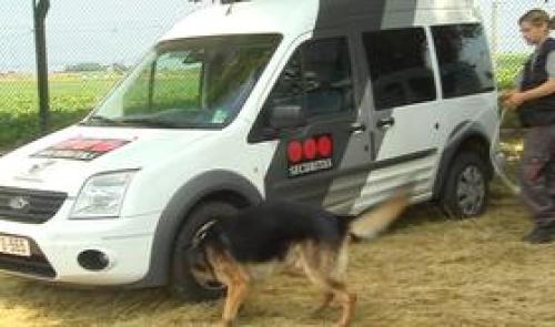 Liege Airport : des chiens spécialisés dans la détection d'explosifs