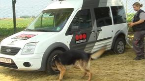 Liege Airport : des chiens spécialisés dans la détection d'explosifs