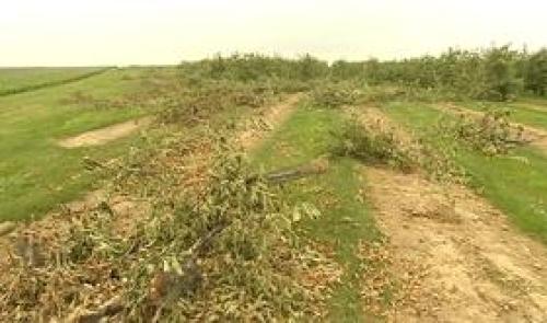 Waremme : quatre jeunes dévastent une exploitation