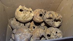 Des ossements abandonnés à Wandre ?