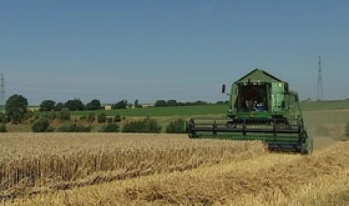 La moisson a démarré