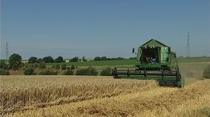 La moisson a démarré