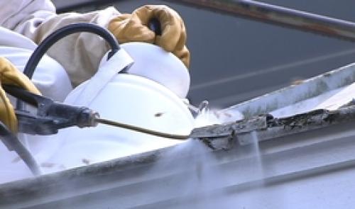 Guêpes : beaucoup de travail pour les pompiers
