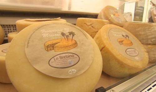 La fête du fromage à Harzé
