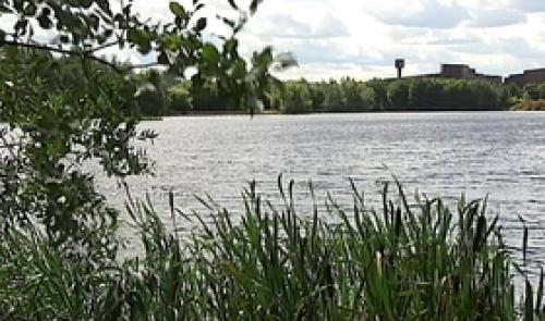 Hermalle-sous-Argenteau : gravière Brock