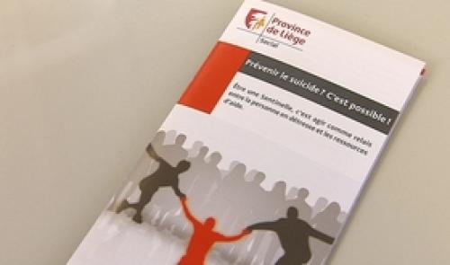 Prévention du suicide : plan d'action québecois
