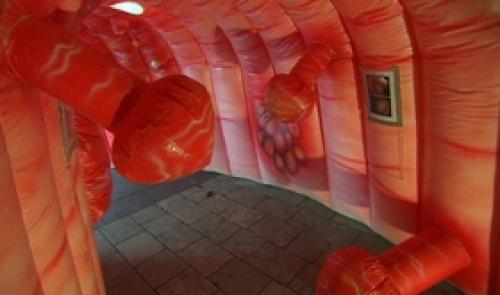 Visite de l'intérieur de votre intestin !