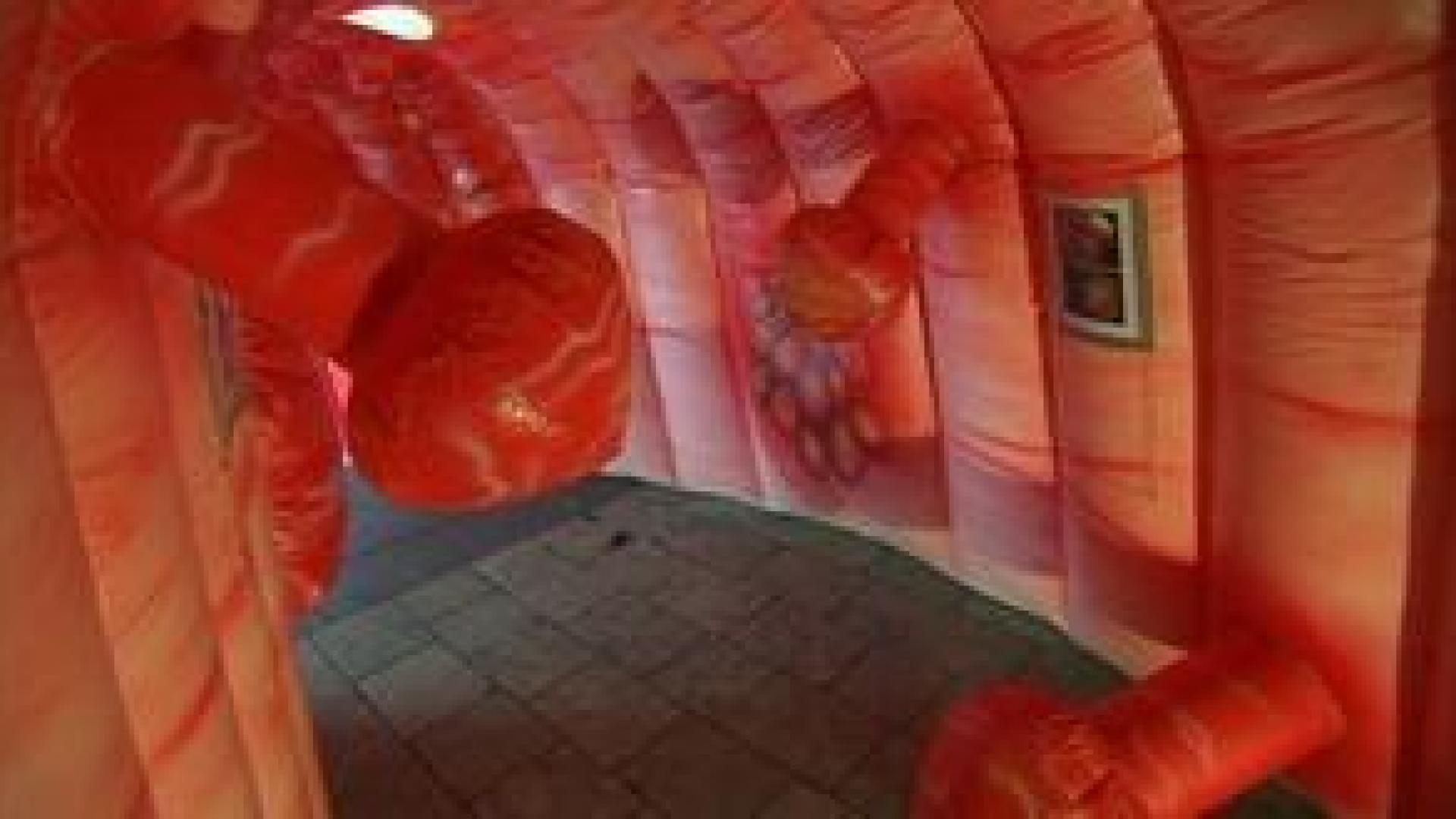 Visite de l'intérieur de votre intestin !