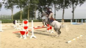 Champion de Belgique 2013 de saut d'obstacle