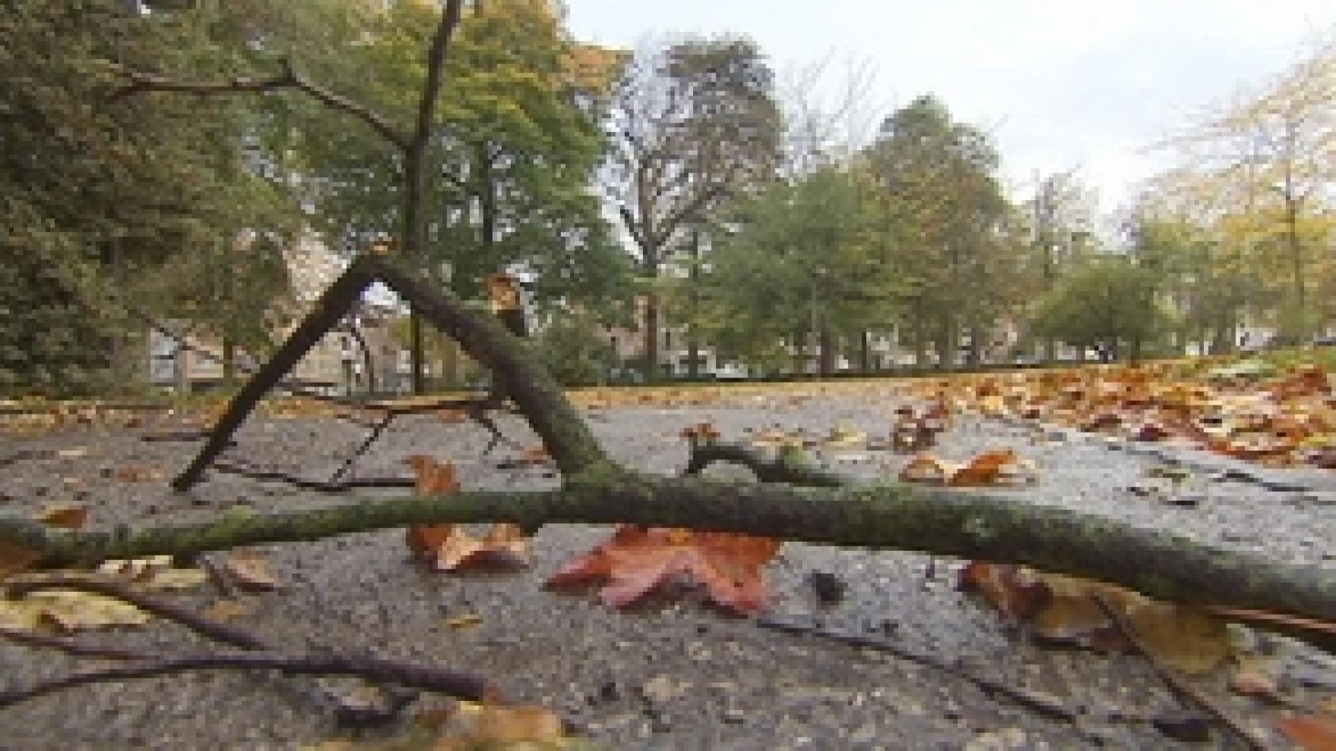 Intempéries : la Ville de Liège ferme ses parcs