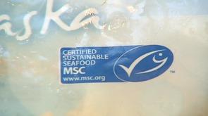Semaine du poisson durable