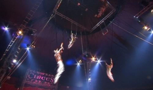 European Circus : un trapéziste accidenté