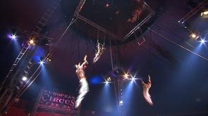 European Circus : un trapéziste accidenté