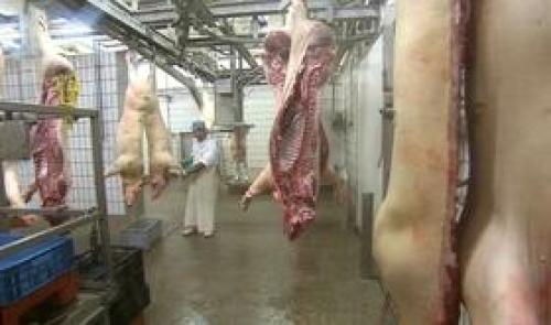 Abattoir des porcs : bientôt la fin des activités
