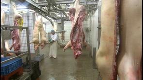 Abattoir des porcs : bientôt la fin des activités
