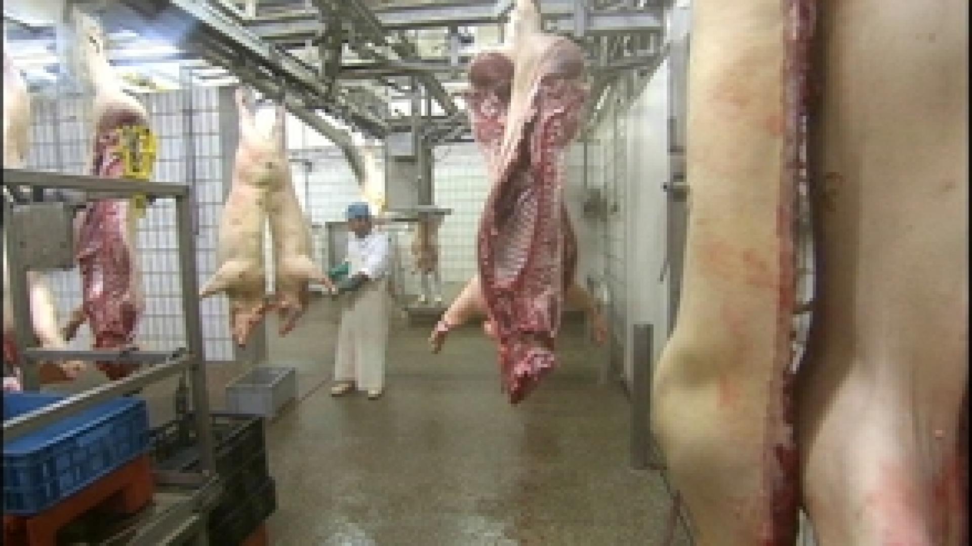 Abattoir des porcs : bientôt la fin des activités