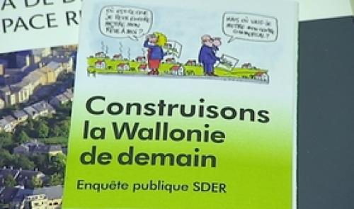Présentation du schéma de développement de l'Espace Régional ( SDER)