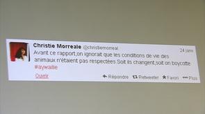 Monde sauvage : polémique après un tweet