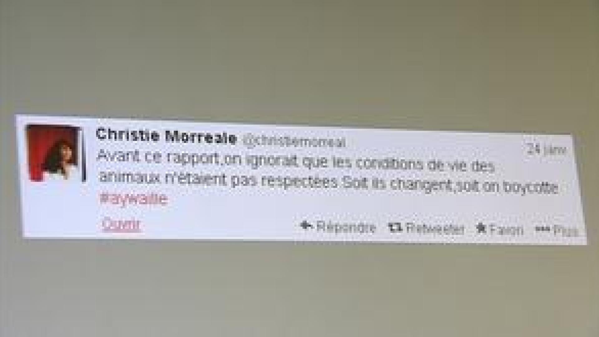 Monde sauvage : polémique après un tweet