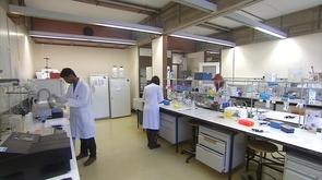 L'Université de Liège va contribuer à découvrir de nouveaux antibiotiques