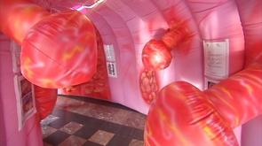 50 ans : l'âge idéal pour dépister le cancer colorectal
