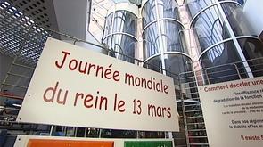 Seraing : journée mondiale du rein