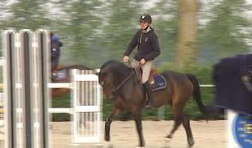 Jeux équestres mondiaux 2014: les participants de la province de Liège en jumping