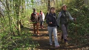 Rando Condroz : réseau de promenades sur 7 communes