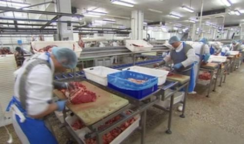 Quel avenir pour le secteur de la viande ?