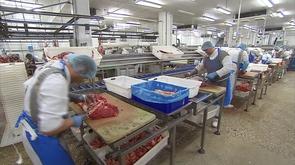 Quel avenir pour le secteur de la viande ?