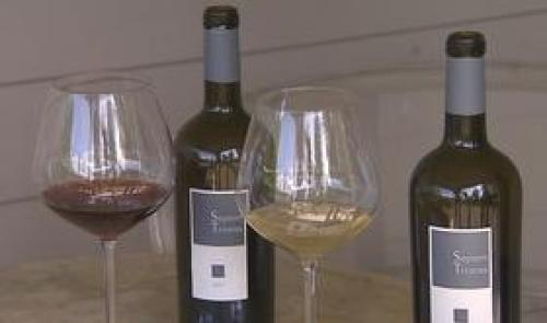 Galler: après le chocolat, le vin