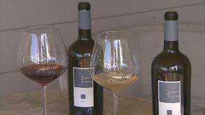 Galler: après le chocolat, le vin