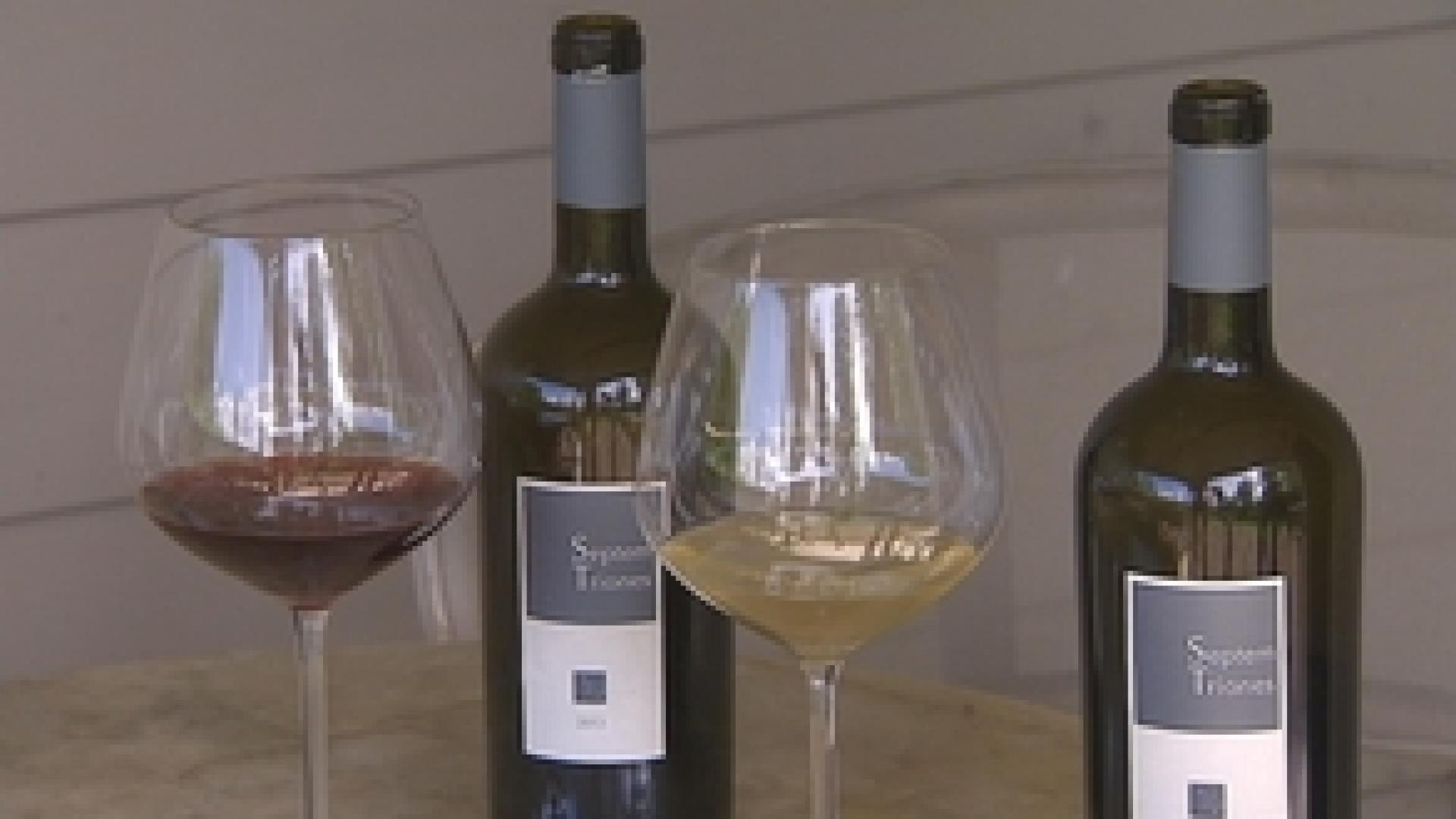 Galler: après le chocolat, le vin