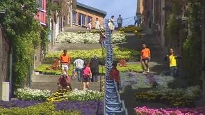La montagne de Bueren en fleurs