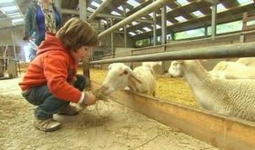 Fermes Ouvertes : découvrir les fermes et leur production