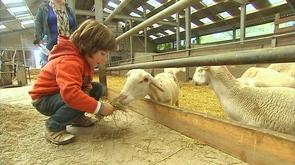 Fermes Ouvertes : découvrir les fermes et leur production