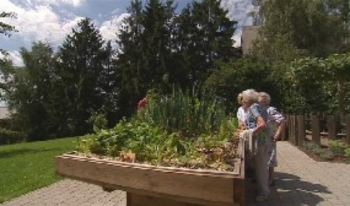 Psycho-gériatrie : un jardin pour les patients