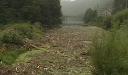 Tilff : pollution