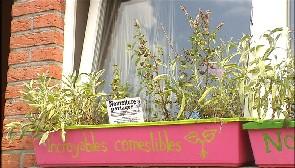 Flémalle : fruits, légumes et partage
